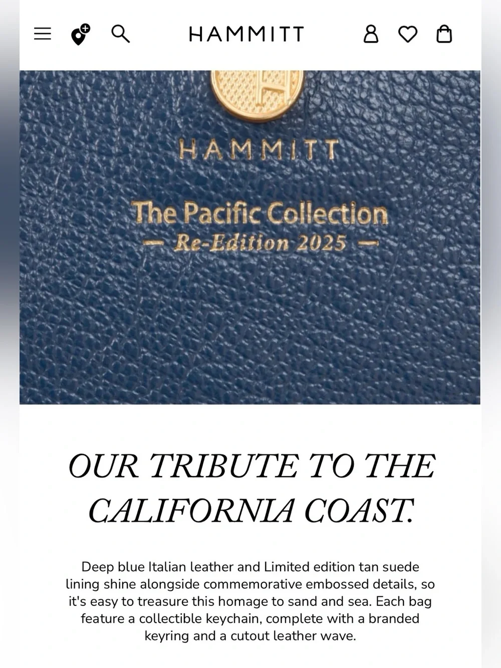 Hammitt Large Allen Tote Bag, Pacific Collection Re-Edition